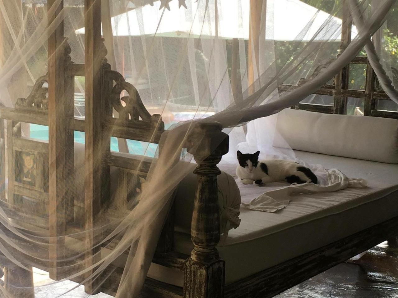 Bed and Breakfast Pashmina House Watamu Zewnętrze zdjęcie