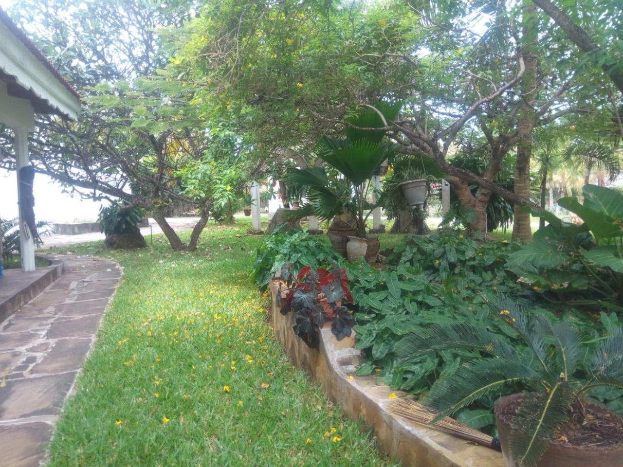 Bed and Breakfast Pashmina House Watamu Zewnętrze zdjęcie
