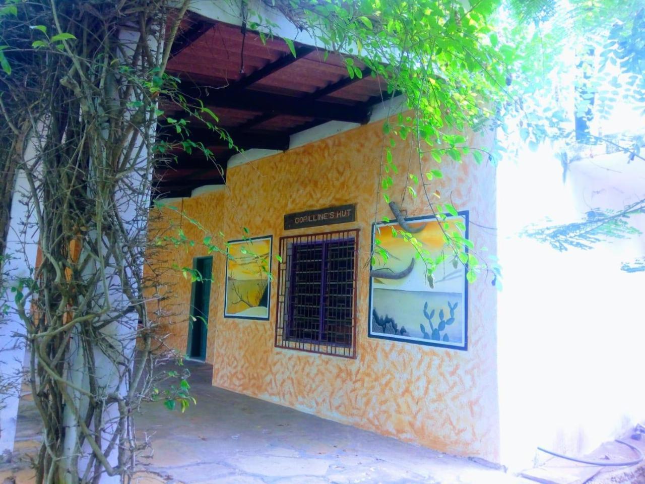 Bed and Breakfast Pashmina House Watamu Zewnętrze zdjęcie