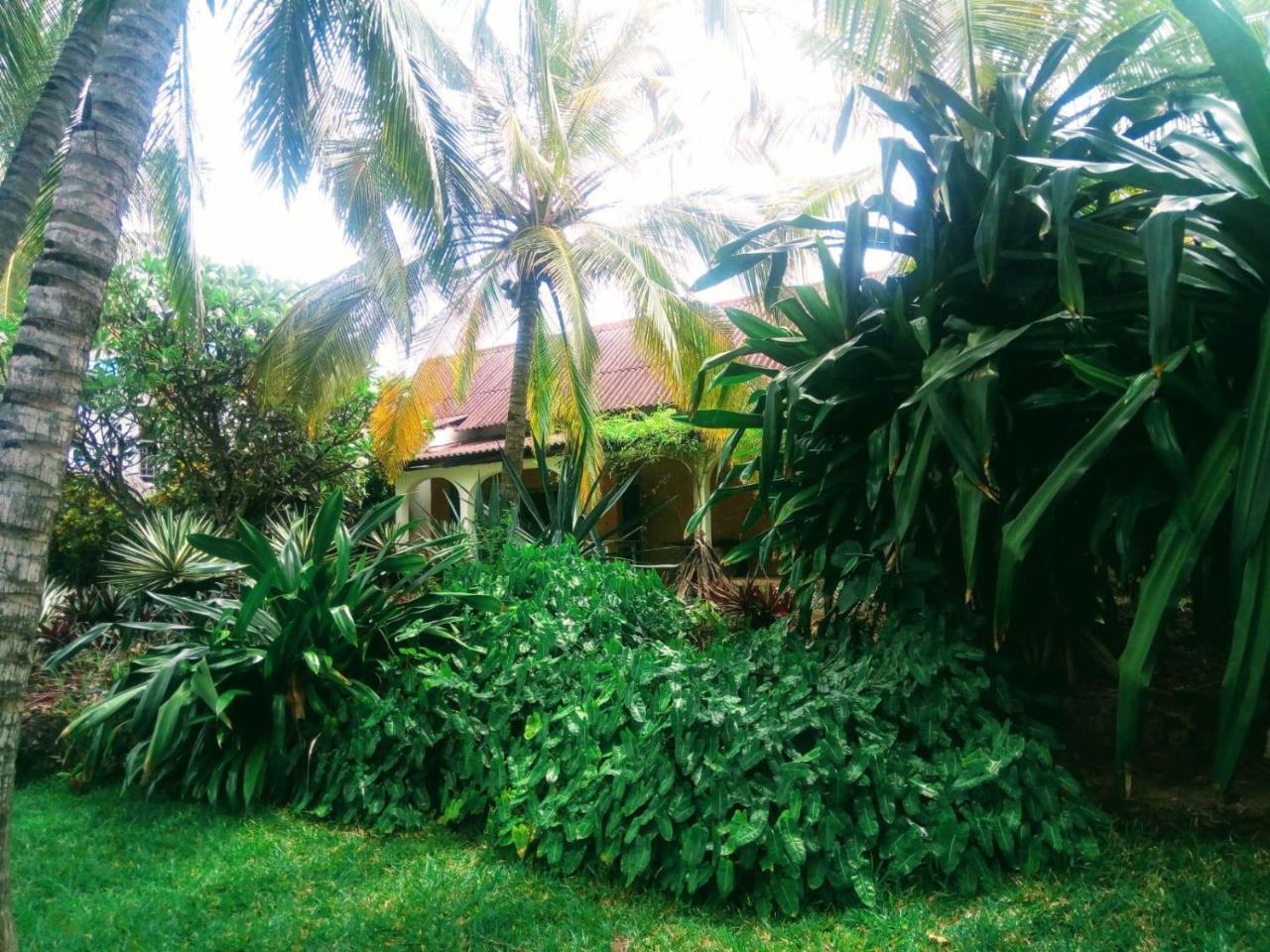 Bed and Breakfast Pashmina House Watamu Zewnętrze zdjęcie